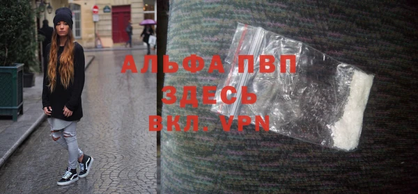 мдпв Рославль