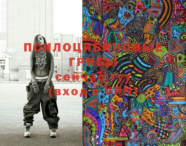 ГАЛЛЮЦИНОГЕННЫЕ ГРИБЫ Сафоново