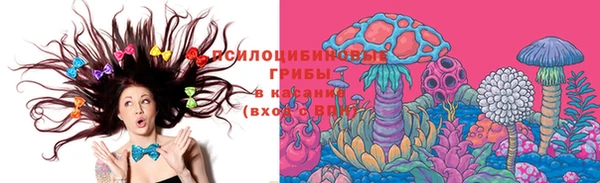 мдпв Рославль