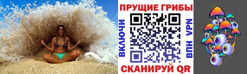 Купить  Салават  Галлюциногенные грибы мухоморы 